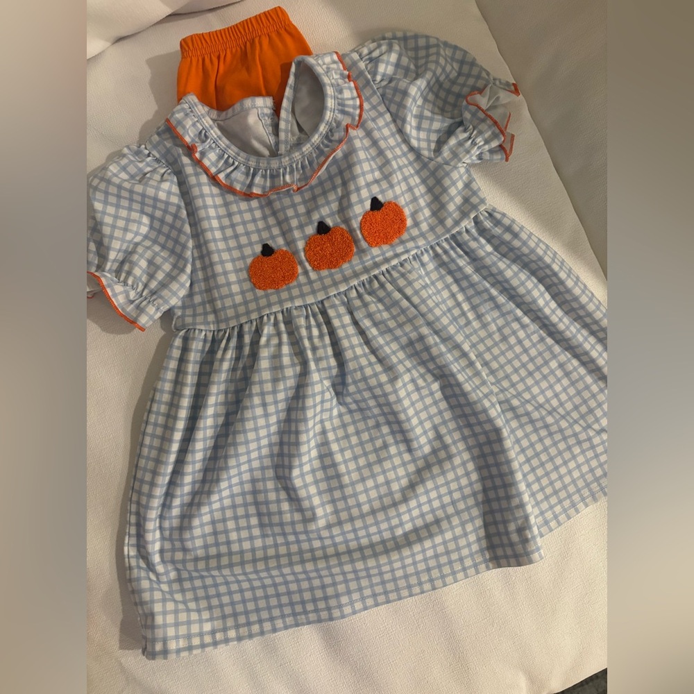 Blue Gingham Top with Pumpkin Embroidery